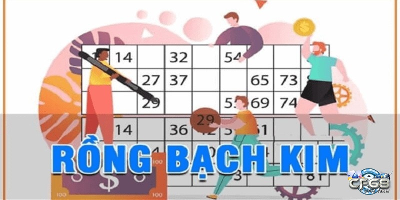 Giới thiệu về rong back.kim