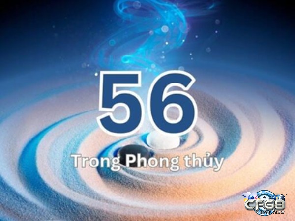 Số 56 theo phong thủy và tìm hiểu đề về 56 ngày mai đánh lô gì