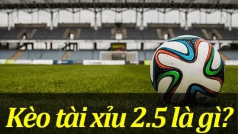 Kèo tài xỉu 2.5 là gì? Bí quyết thắng lợi từ chuyên gia 2025